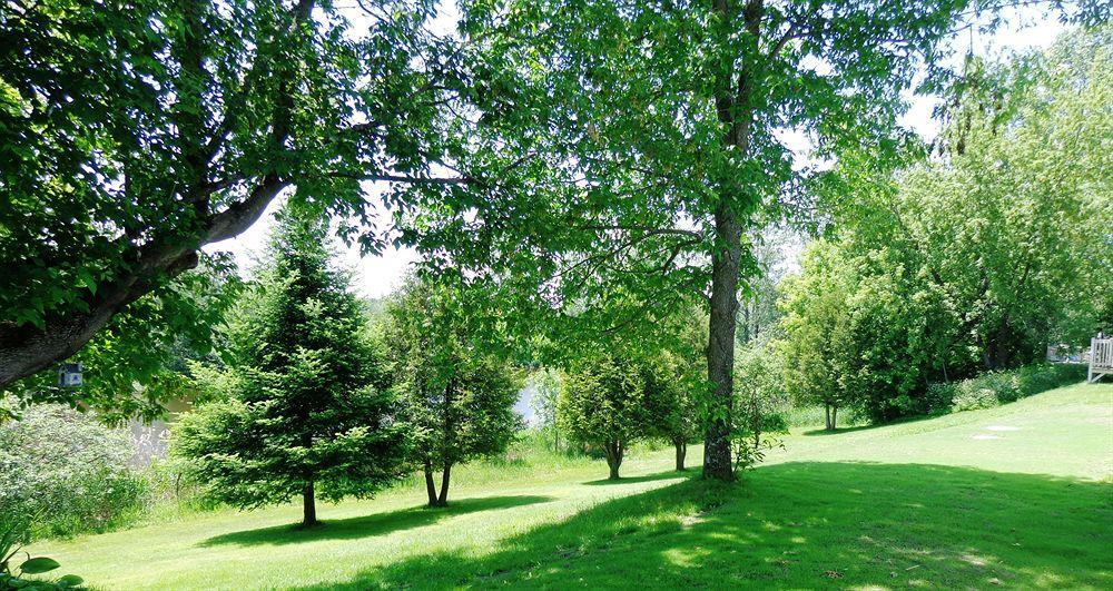 Motel Des Deux Lacs Waterloo Dış mekan fotoğraf